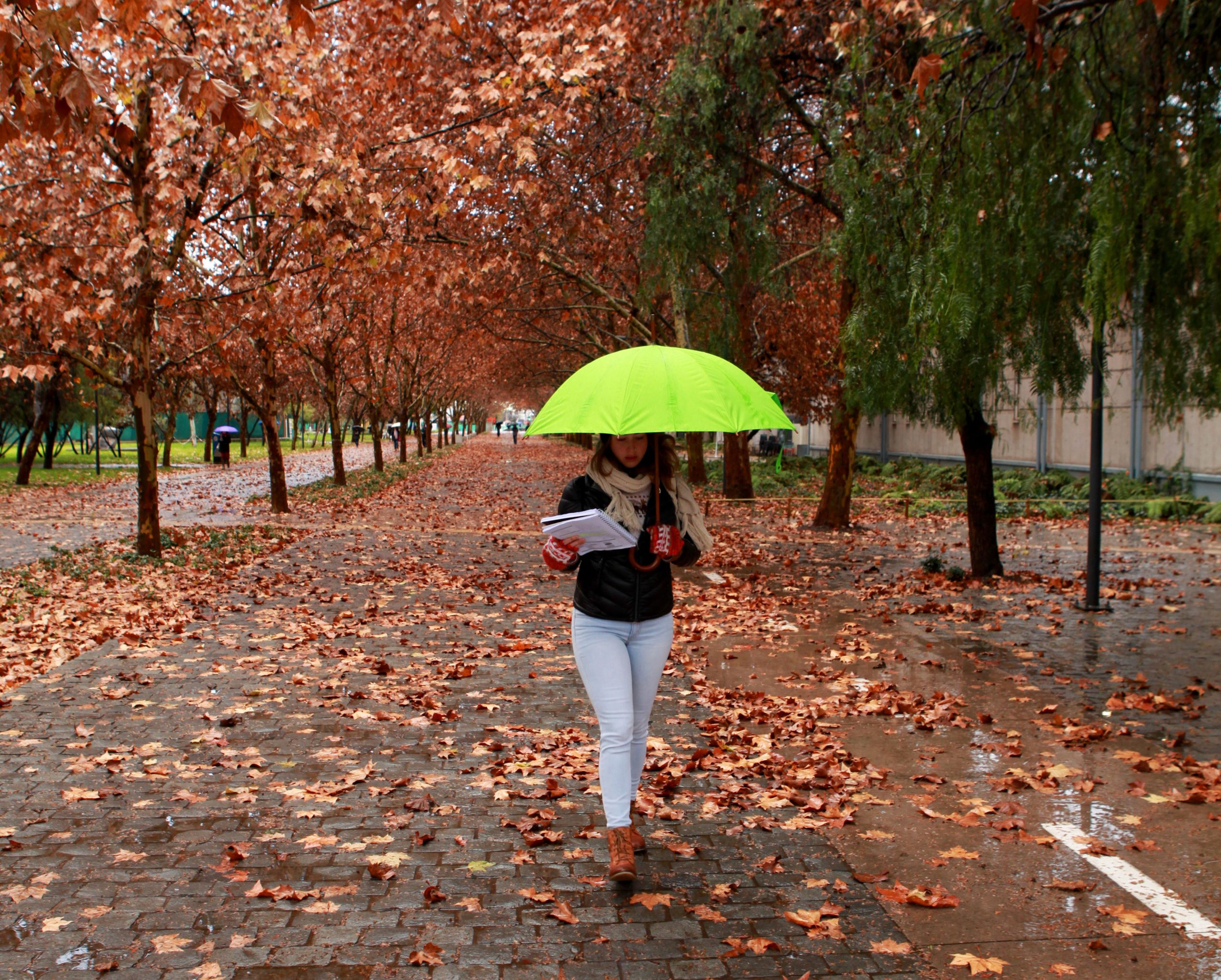 Estudiante otoño San Joaquín