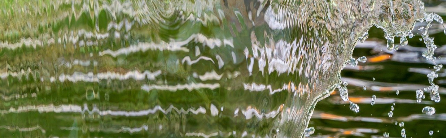 catedra-hidrica-header