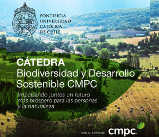 Imagen visual web – CMPC