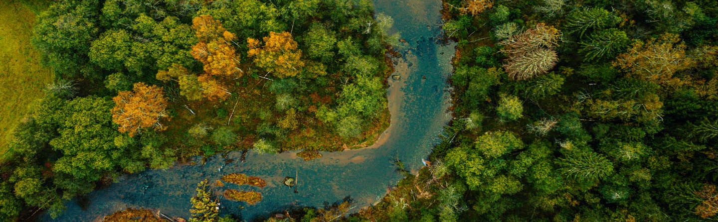 catedra-cmpc-header copia