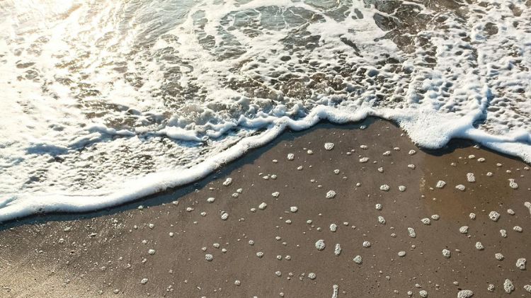 Fotografía del agua con espuma sobre la arena mojada de una playa