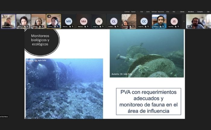 Captura de pantalla de una charla Zoom se ve una presentación que dice Monitoreos biológicos y econlógicos