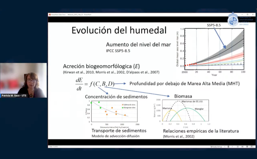 Fotografía de una charla online